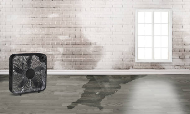 Best Flood damage cleanup  in Valle Vista, CA